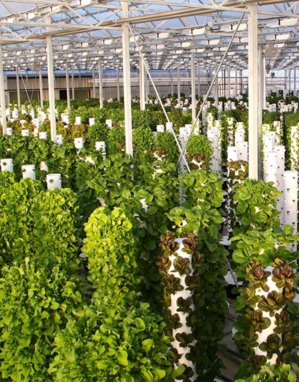 Example of a tower farm